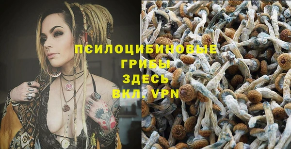 прущий лед Алексеевка