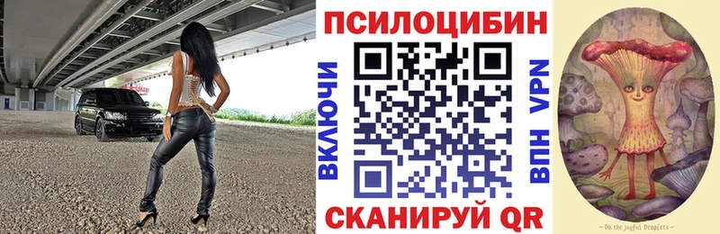 купить наркотики сайты  Киреевск  Галлюциногенные грибы мухоморы 